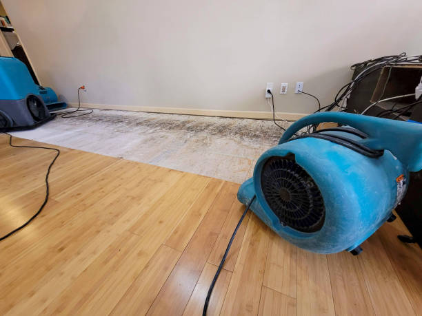 Professional Water Damage Repair technician working in Garden City, SC